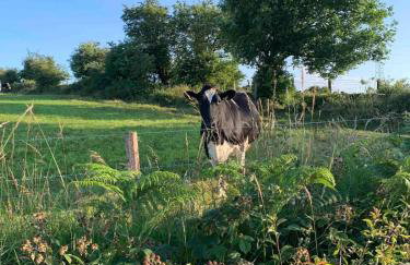 The Burrow - Foto 24