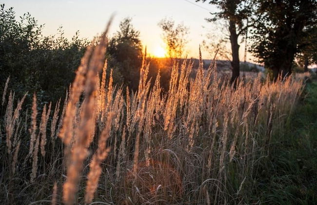 Agroturystyka u przyjaciol Soni - Foto 50