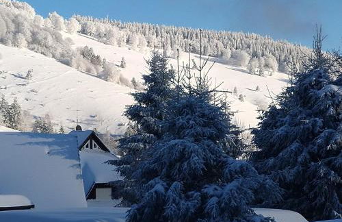 Happy Big Family - Foto 9