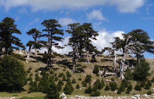 "CUORE DEL POLLINO" Locazione turistica - Foto 1