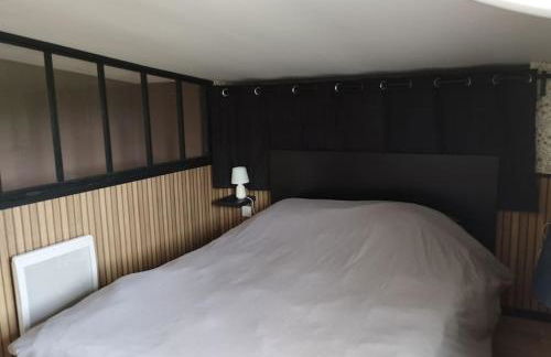 La Rose du Bel Homme - Foto 14