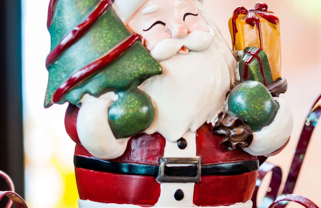 Tour dei mercatini di Natale dell'Alsazia - Foto 2