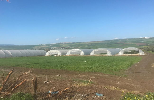 Zimmer BaSadot - Foto 53