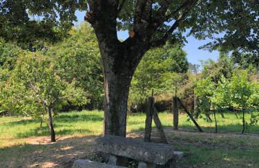 QUINTA DONA MANUELA - Foto 27