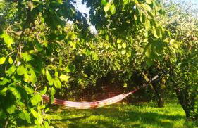 B&B Naturin - Eco Farm - Foto 15