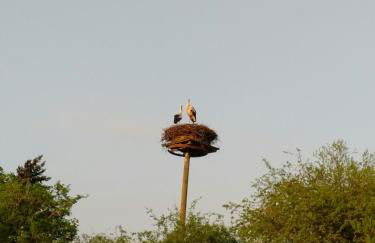NR- Fewo mit Ladestation für E-Autos - Foto 35