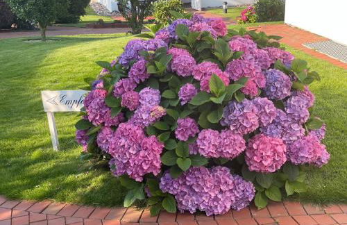 Haus Amanda - Photo 20