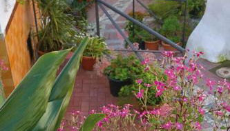 MIRADOR DEL VALLE - Foto 3