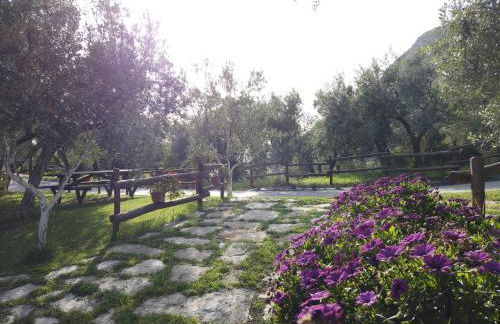 Il Mandorlo - Foto 49