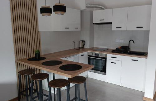 Wczasy Chmielno Apartament PUDROWY - Foto 46