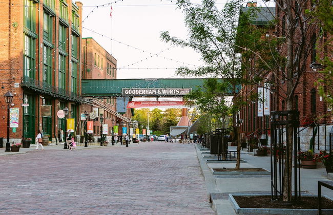 Bright 4-Bedroom in Forest Hill - Photo 38