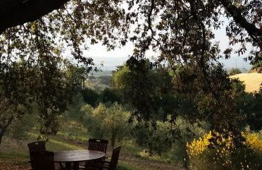 Agriturismo Poderino - Foto 21