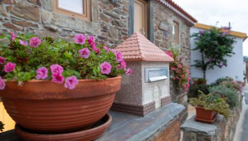 O Palheiro - Vista Panorâmica e Jacuzzi - Foto 3