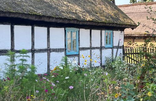 Słowińska Łąka - Foto 58