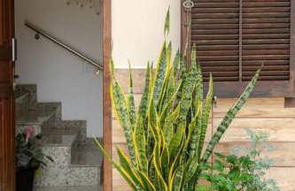 Casa do Trevo 7 - Aconchego em cada detalhe! - Foto 21