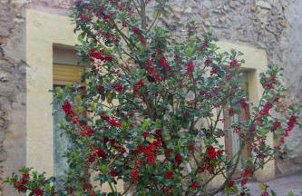 Casa Rural el Cedro - Foto 7