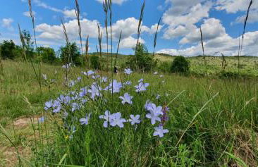 Casa Andrea - Foto 73