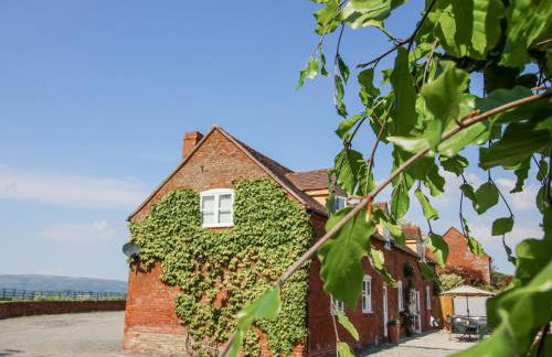 The Chestnuts - Foto 33