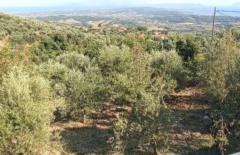 House in Zaloggo - Foto 27