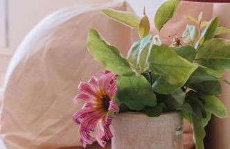 Just like Home - Number 8 em Quinta das Mineirinhas - Foto 14