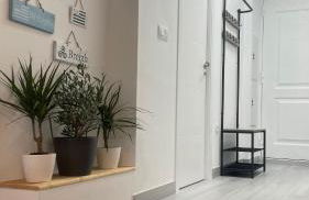 Sierra Nevada, Vereda de la Estrella - Foto 11