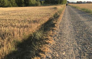 Apartamento El Robledal - Foto 50