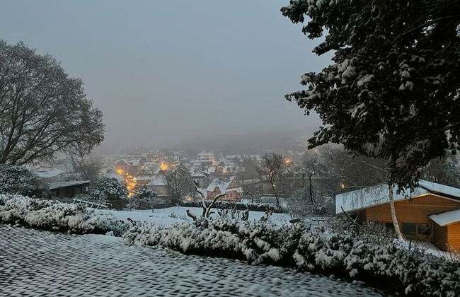 To Salamander No. 15a - Foto 22