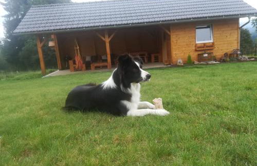 Edelstein Ferienwohnung Philippsreut - Foto 33