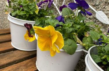 The Ramblers Rest - whole apartment - pet friendly - close to amenities and walks - Photo 26