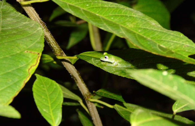 Randonnée de nuit dans le domaine de Rio Agujitas - Photo 2