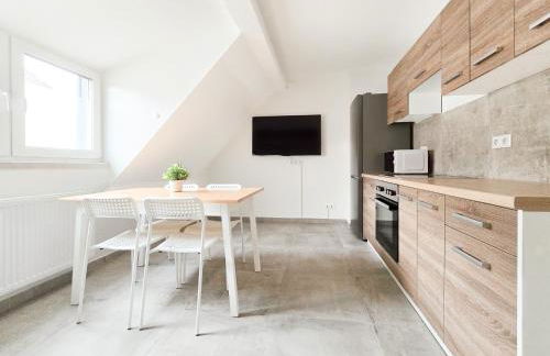 Tolstov Apartments - Monteurwohnung mit 3 Zimmern - Dachgeschoss - Parkplatz - Photo 8