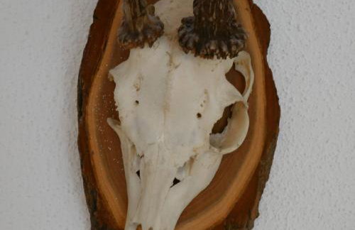 Ferienwohnungen Knodel - Foto 39