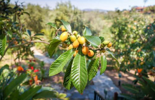 Nature Inspired Villa Designed for Wellness - Foto 86