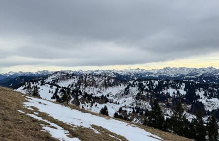 AlpinLounge Scheidegg - Studio mit Wellness und Bergblick - Foto 21