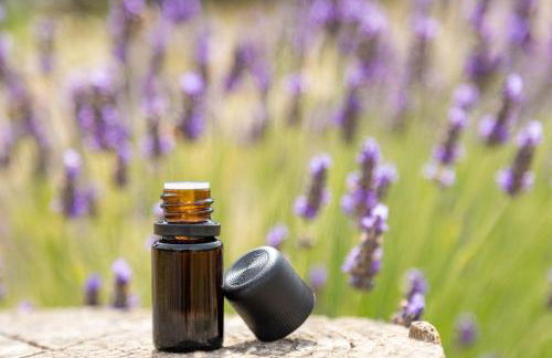 Agriturismo La Valle della Lavanda - Podere Mezzastrada - Foto 23