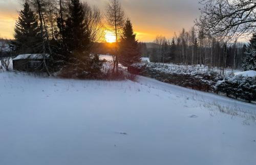 Lasóweczka - Foto 15