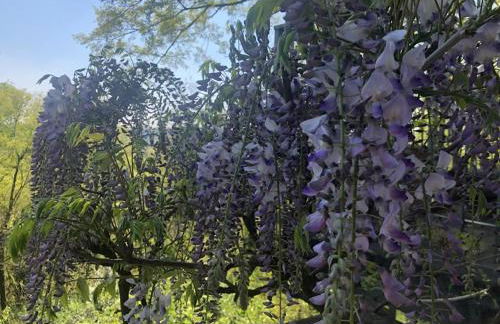 Casa della Gioia - Foto 15