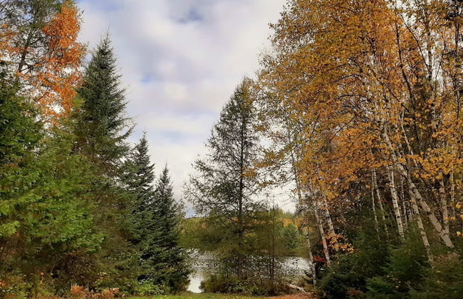 Le M Sangeai Citq 300267 - Foto 9