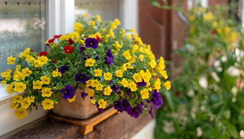 Urlaub Im Kulturdenkmal - Foto 4