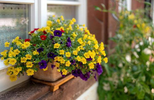Urlaub Im Kulturdenkmal - Foto 4