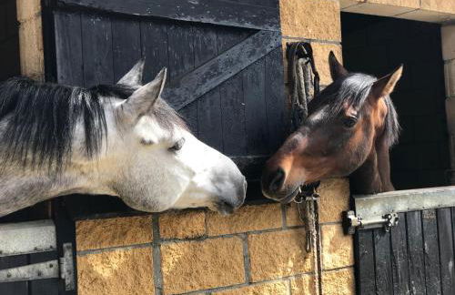 Agroturismo Anziola - Foto 23