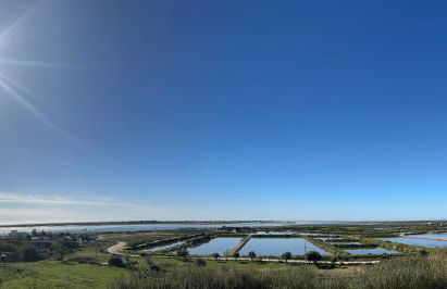 Vista Mar Aldeia de Marim - Foto 1
