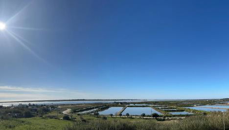 Vista Mar Aldeia de Marim - Foto 1