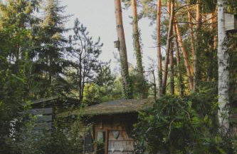 Przystanek Zielnik - Foto 10