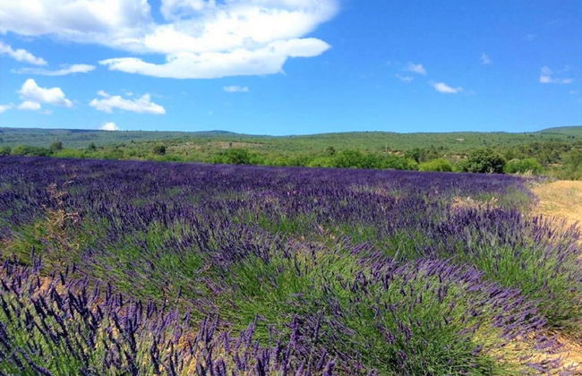 Charming Provencal Holiday Home With Garden - Foto 28
