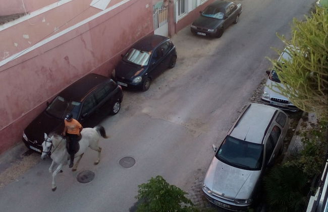 Room in Guest Room - Private Room on a Terrace With Garden - Photo 20