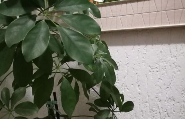 Apartment Olymp Osijek-garage - Foto 19