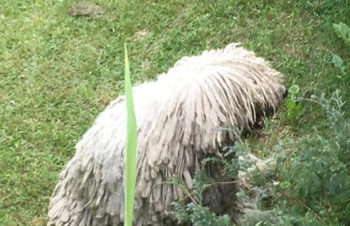 Piekiełko - Foto 39