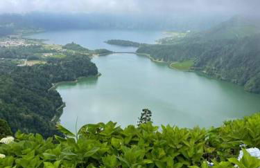 House in Ponta Garça - Photo 12