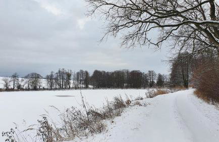 Nasz Dębowiec - dom dla 15 osób, sauna, widok na staw, wielka działka - Photo 78